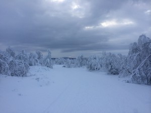 Det kom lite snö tillslut.