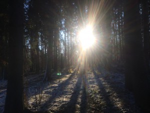 Solen tränger igenom