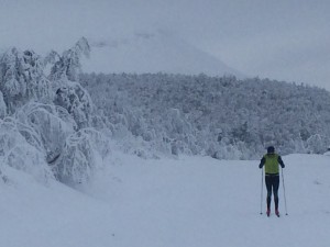 Johan på väg upp från en backe uppe på Mittåkläppen igår.