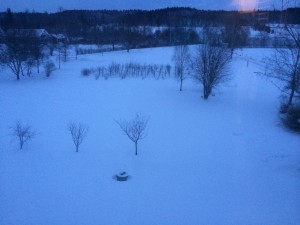 Lite snö kom det, bild på söndag morgon.