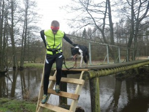 Inte lätt sprungit alla gånger. Svårt för både hund och människa. Foto: Oskar Henriksson