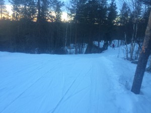 Skog? Ja, men också en utförslöpa........kan man knappt tro........lite tuffare än Risbergsbacken.