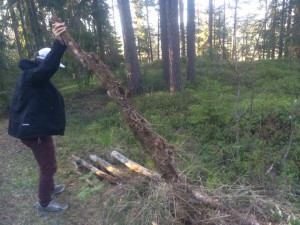 Biologen Marcus var ute efter..........tja diverse djurarter. Han fann några!