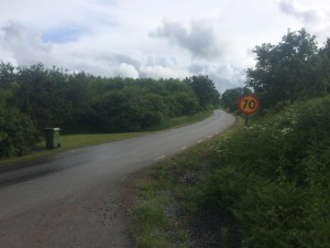 Backen vid Grevlunda, den är brantare äb vad den ser ut, som vanligt alltså.