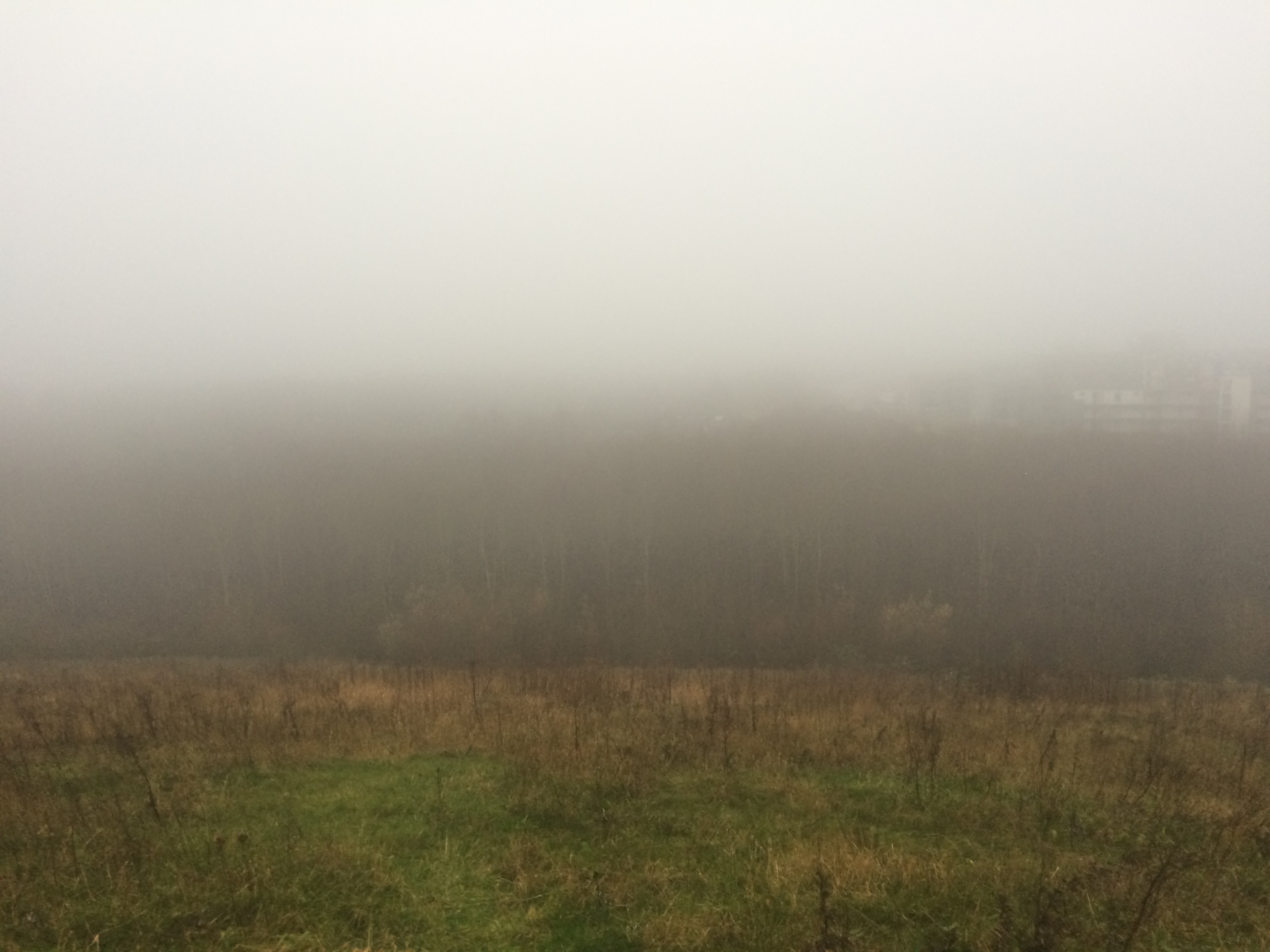 Bild på Klosterängshöjden, blickar ut över Lund som ska vara där någonstans i dimman!